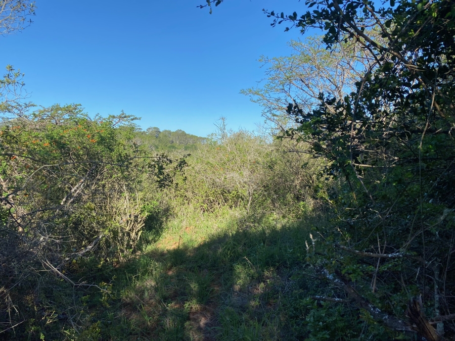 0 Bedroom Property for Sale in Bathurst Eastern Cape